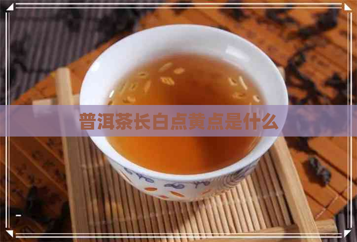 普洱茶长白点黄点是什么