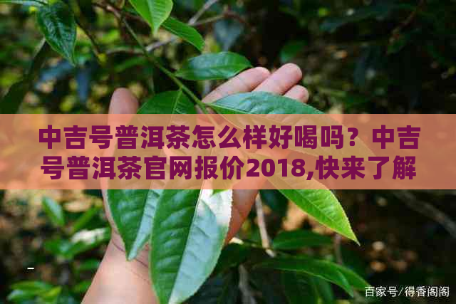 中吉号普洱茶怎么样好喝吗？中吉号普洱茶官网报价2018,快来了解一下！