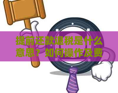 提前还款退税是什么意思？如何操作及费用是多少？