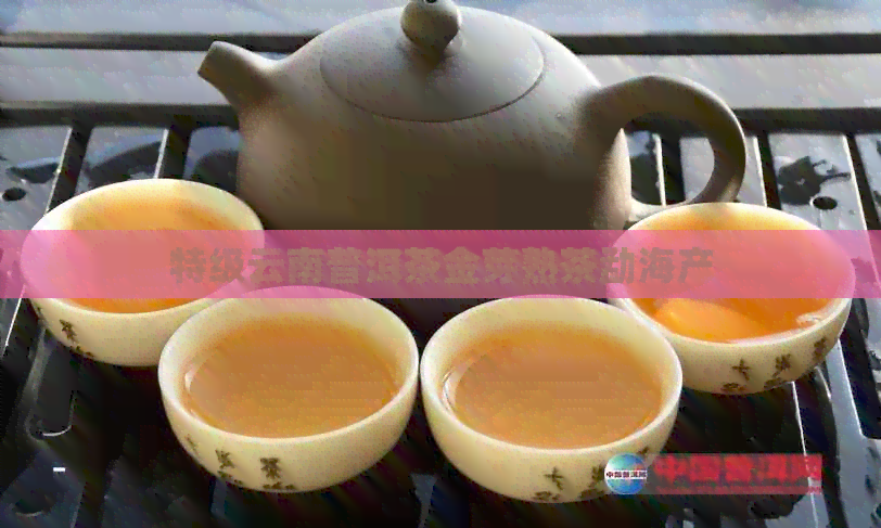 特级云南普洱茶金芽熟茶勐海产