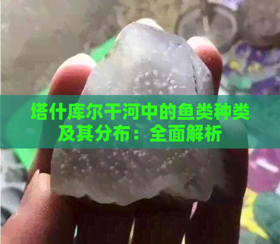 塔什库尔干河中的鱼类种类及其分布：全面解析