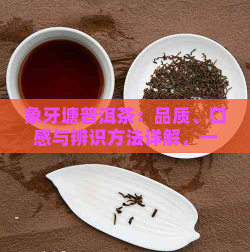 象牙塘普洱茶：品质、口感与辨识方法详解，一文让你喝出好茶的秘密