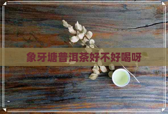 象牙塘普洱茶好不好喝呀