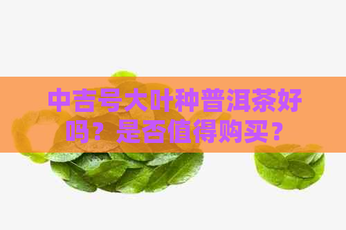 中吉号大叶种普洱茶好吗？是否值得购买？