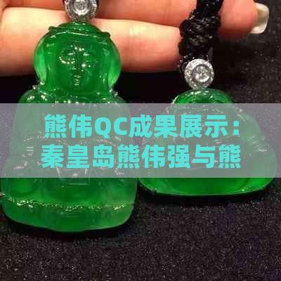 熊伟QC成果展示：秦皇岛熊伟强与熊伟威联袂呈现精彩表现