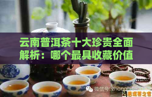 云南普洱茶十大珍贵全面解析：哪个更具收藏价值和品质保证？