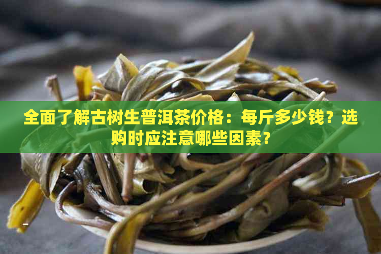 全面了解古树生普洱茶价格：每斤多少钱？选购时应注意哪些因素？