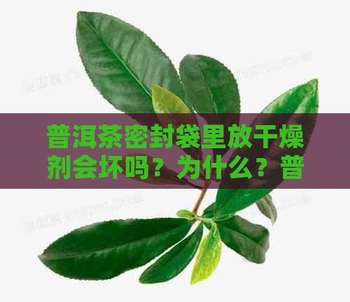 普洱茶密封袋里放干燥剂会坏吗？为什么？普洱茶存放可以使用干燥剂吗？