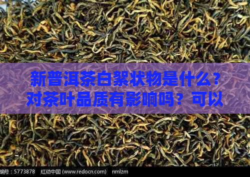 新普洱茶白絮状物是什么？对茶叶品质有影响吗？可以饮用吗？