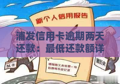 浦发信用卡逾期两天还款：更低还款额详解及应对策略