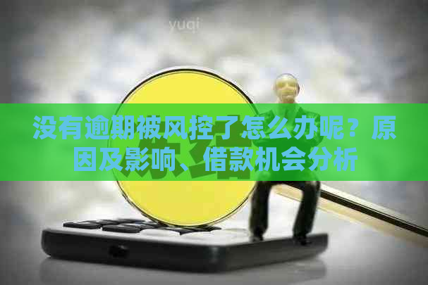 没有逾期被风控了怎么办呢？原因及影响、借款机会分析