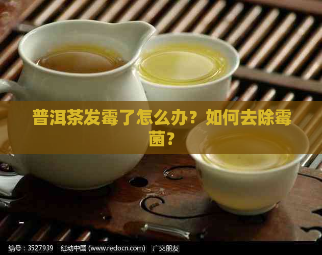 普洱茶发霉了怎么办？如何去除霉菌？