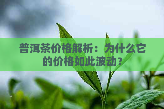 普洱茶价格解析：为什么它的价格如此波动？