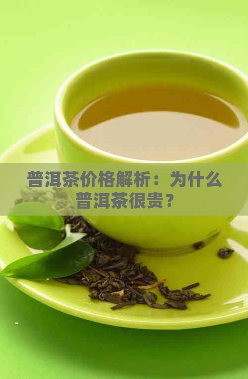 普洱茶价格解析：为什么普洱茶很贵？