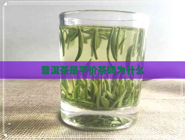 普洱茶是平价茶吗为什么