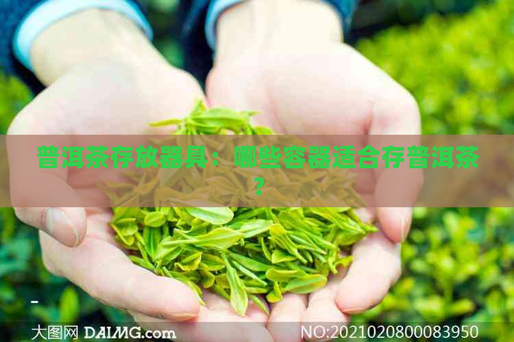 普洱茶存放器具：哪些容器适合存普洱茶？