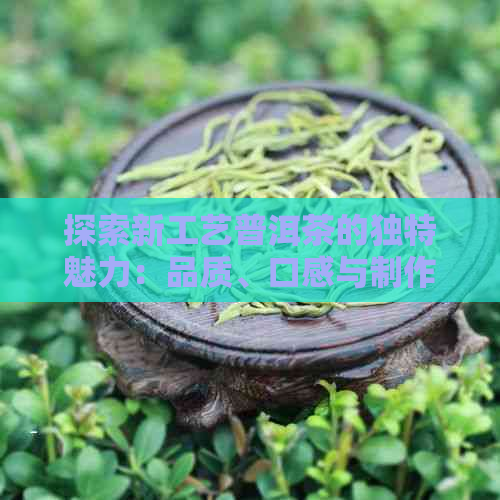 探索新工艺普洱茶的独特魅力：品质、口感与制作工艺的全面解析