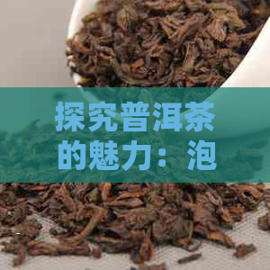 探究普洱茶的魅力：泡出的茶水颜色揭示了什么？