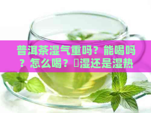 普洱茶湿气重吗？能喝吗？怎么喝？袪湿还是湿热？