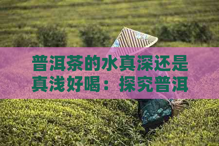 普洱茶的水真深还是真浅好喝：探究普洱茶的口感差异