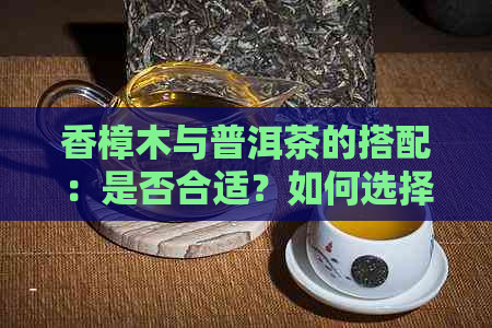 香樟木与普洱茶的搭配：是否合适？如何选择？