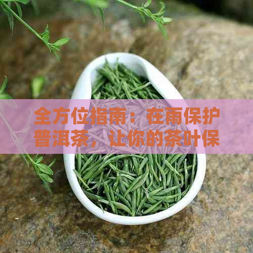 全方位指南：在雨保护普洱茶，让你的茶叶保持品质与口感