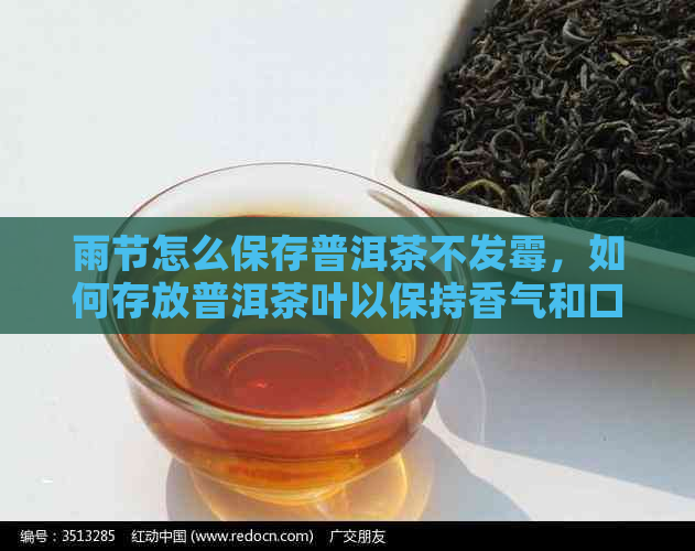 雨节怎么保存普洱茶不发霉，如何存放普洱茶叶以保持香气和口感。