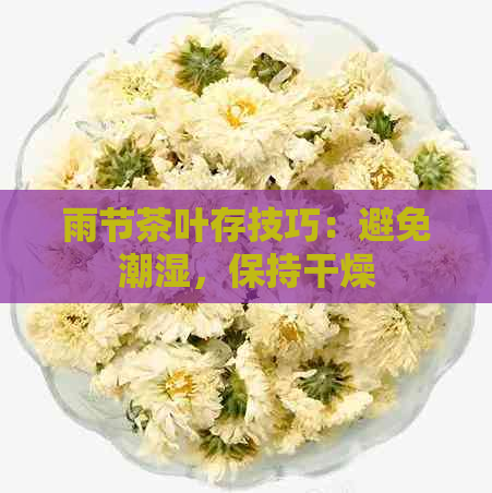 雨节茶叶存技巧：避免潮湿，保持干燥