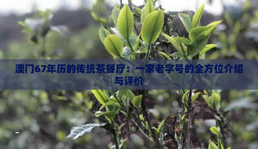 67年历的传统茶餐厅：一家老字号的全方位介绍与评价