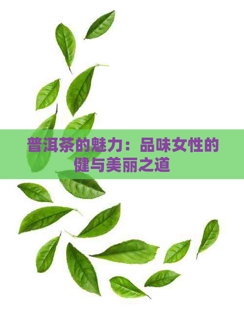 普洱茶的魅力：品味女性的健与美丽之道