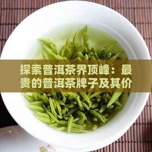 探索普洱茶界顶峰：最贵的普洱茶牌子及其价格分析