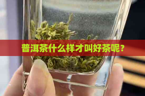 普洱茶什么样才叫好茶呢？