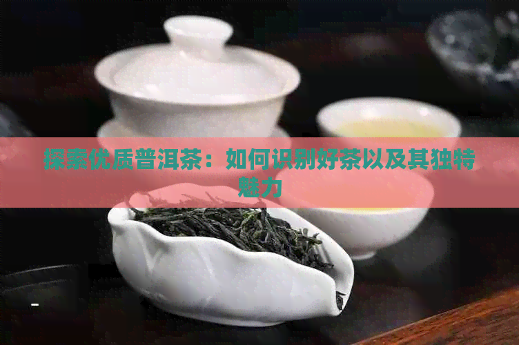 探索优质普洱茶：如何识别好茶以及其独特魅力