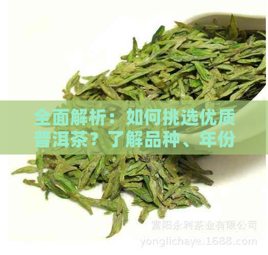 全面解析：如何挑选优质普洱茶？了解品种、年份、制作工艺等关键因素