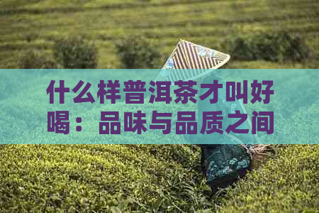 什么样普洱茶才叫好喝：品味与品质之间的微妙关系