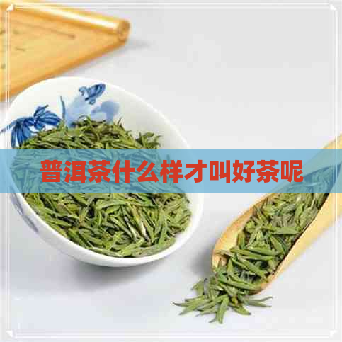 普洱茶什么样才叫好茶呢