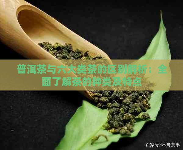 普洱茶与六大类茶的区别解析：全面了解茶的种类及特点