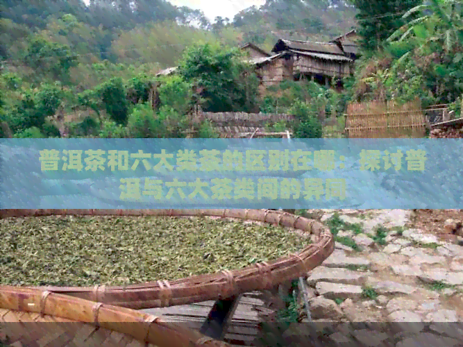 普洱茶和六大类茶的区别在哪：探讨普洱与六大茶类间的异同