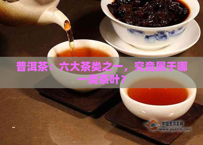 普洱茶：六大茶类之一，究竟属于哪一类茶叶？