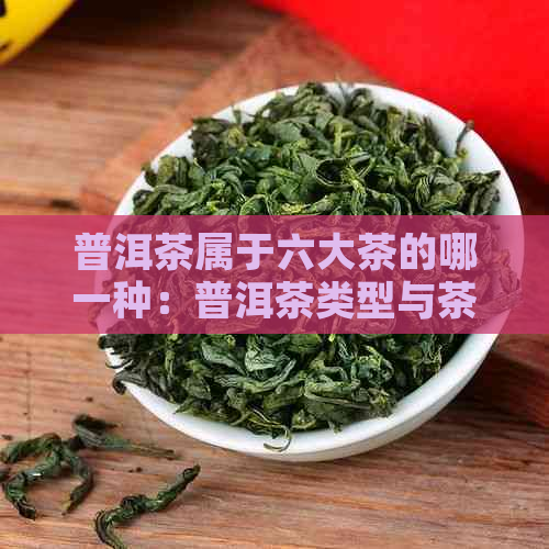 普洱茶属于六大茶的哪一种：普洱茶类型与茶类详解