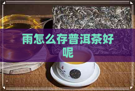 雨怎么存普洱茶好呢