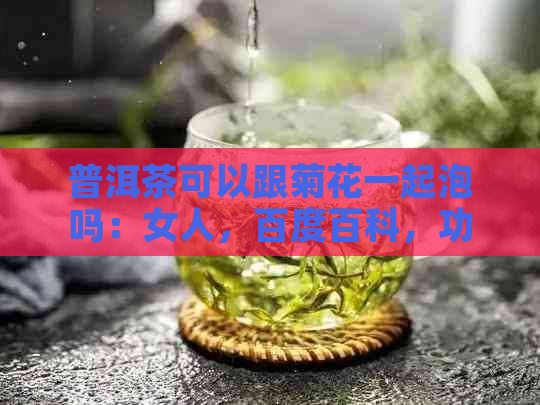 普洱茶可以跟菊花一起泡吗：女人，百度百科，功效。