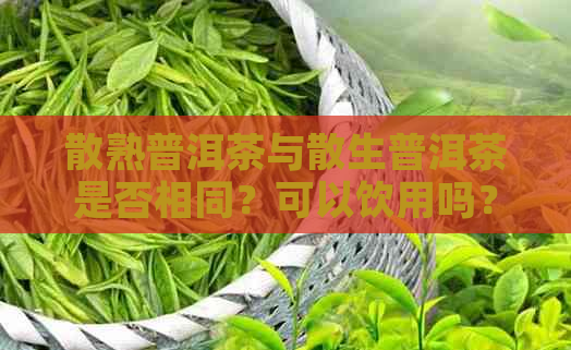 散熟普洱茶与散生普洱茶是否相同？可以饮用吗？散生普洱茶的功效是什么？