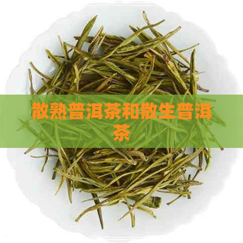 散熟普洱茶和散生普洱茶