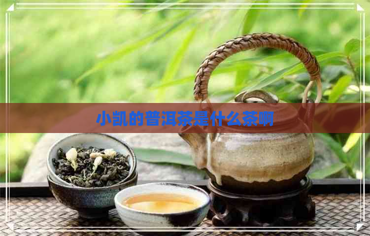 小凯的普洱茶是什么茶啊