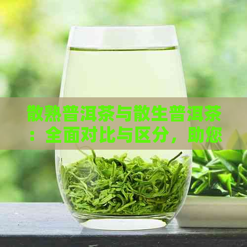 散熟普洱茶与散生普洱茶：全面对比与区分，助您轻松挑选最适合的茶叶