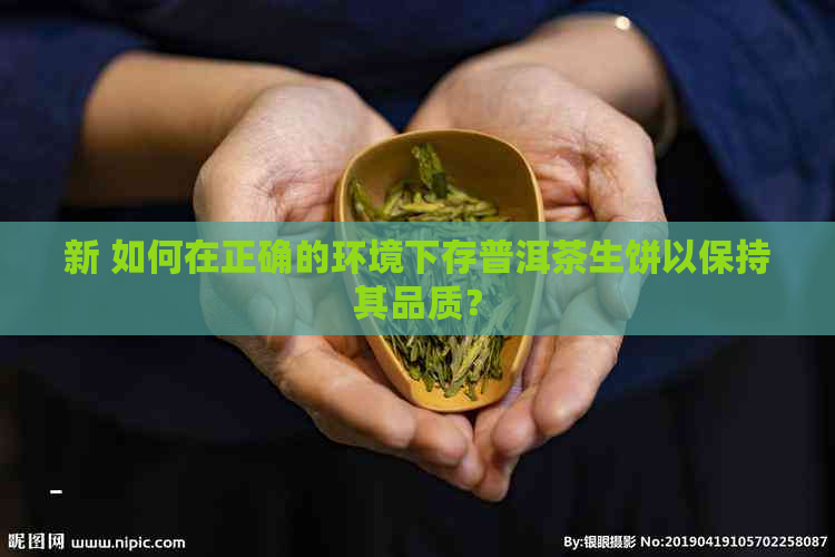 新 如何在正确的环境下存普洱茶生饼以保持其品质？