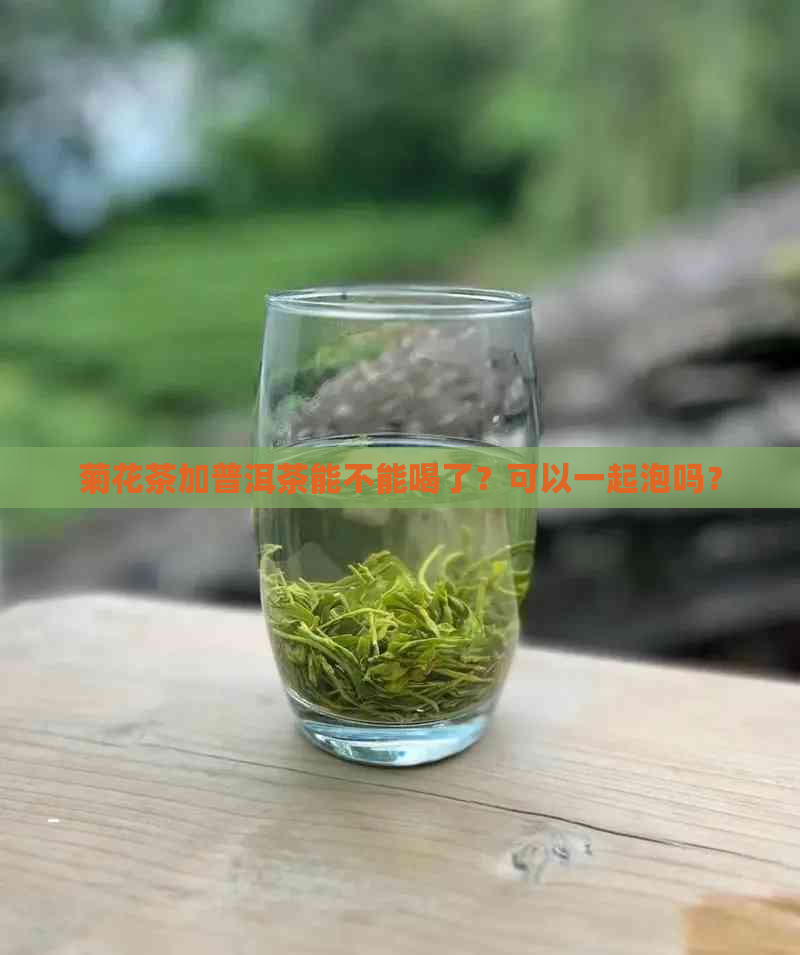 菊花茶加普洱茶能不能喝了？可以一起泡吗？