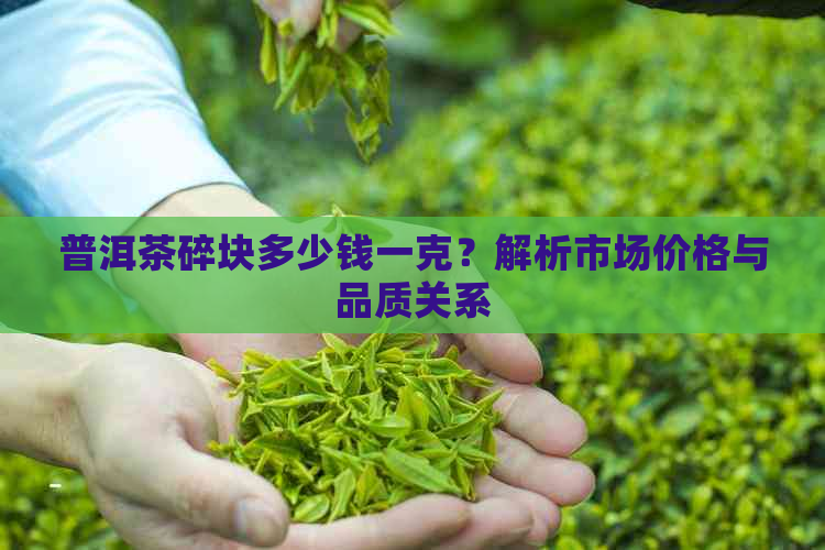 普洱茶碎块多少钱一克？解析市场价格与品质关系