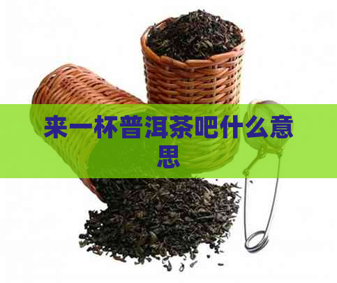 来一杯普洱茶吧什么意思